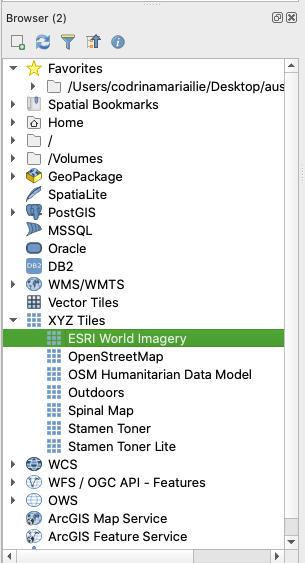 ESRI World Imagery Tile server added to the Browser Panel