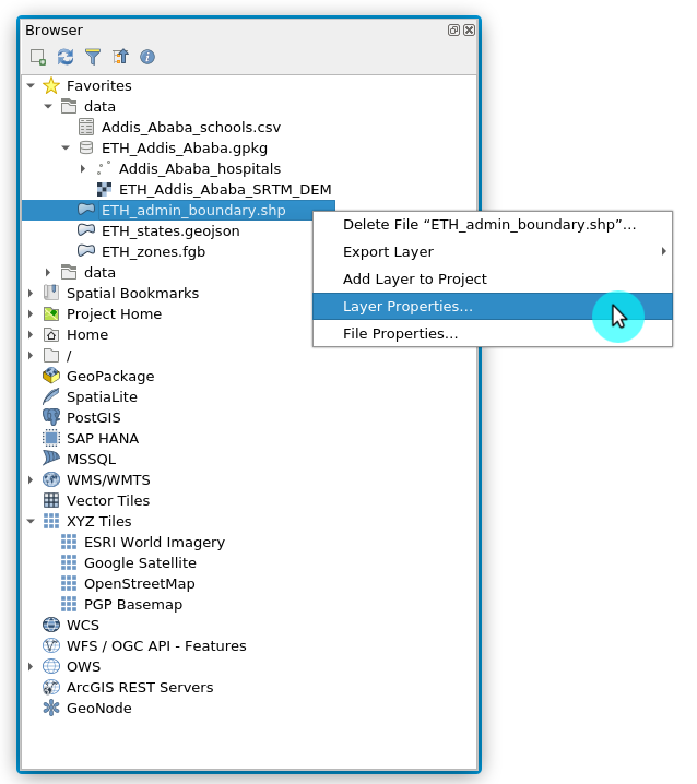 Checking Layer Properties