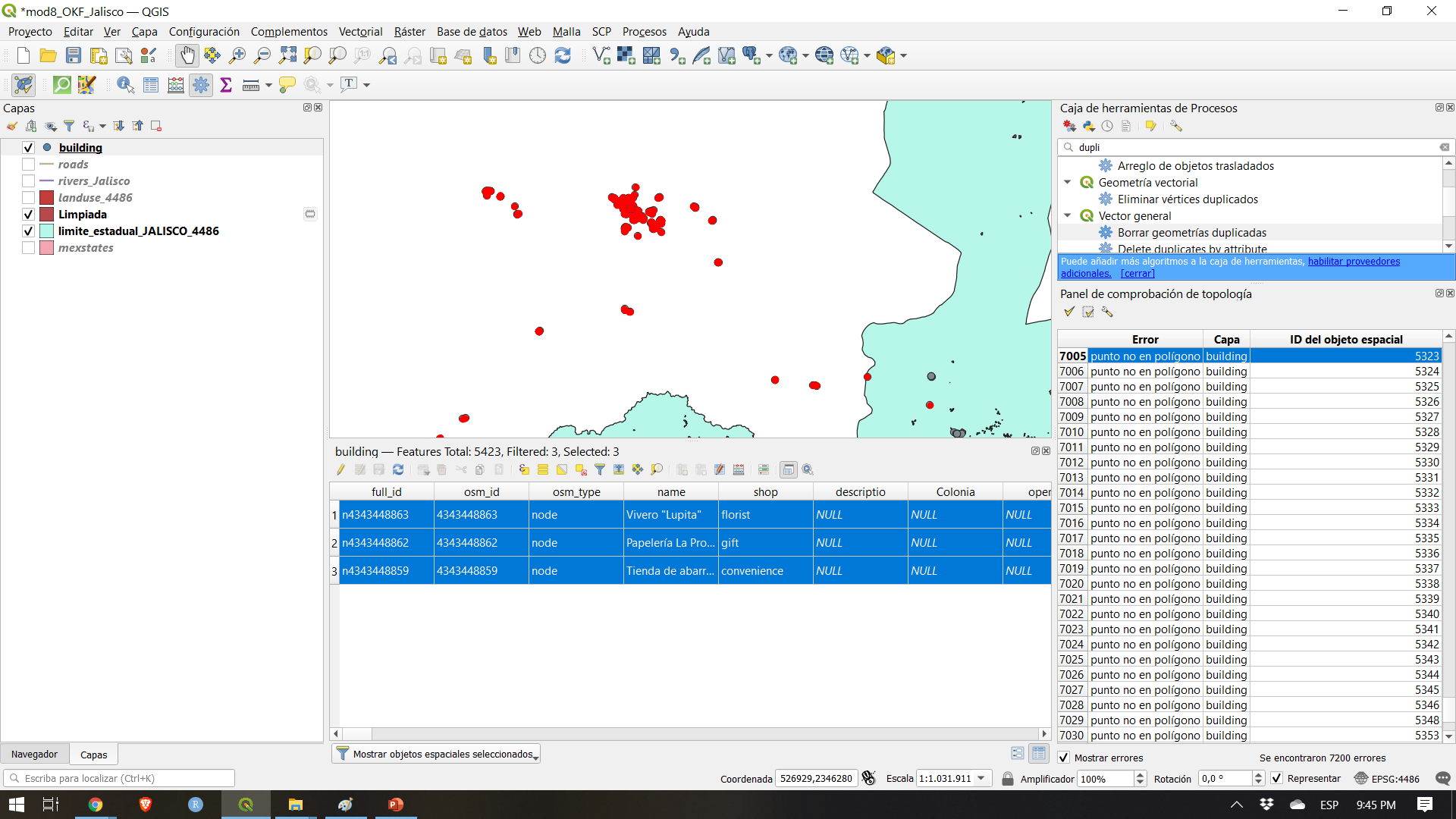 Results of topology check on the buildings vector layer