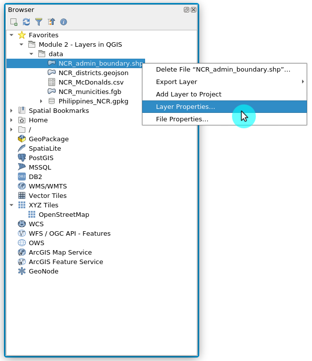 Checking Layer Properties