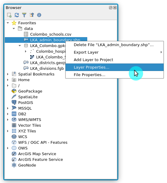 Checking Layer Properties